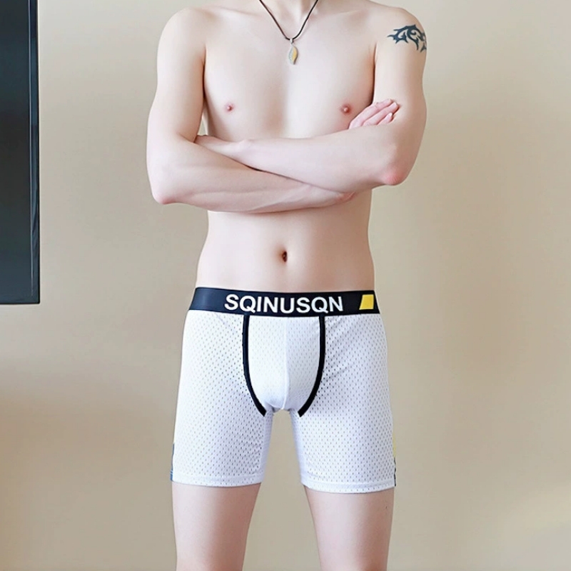 Мужские боксеры из сетчатой тк – обзор и цена Long Leg Trunk Men
